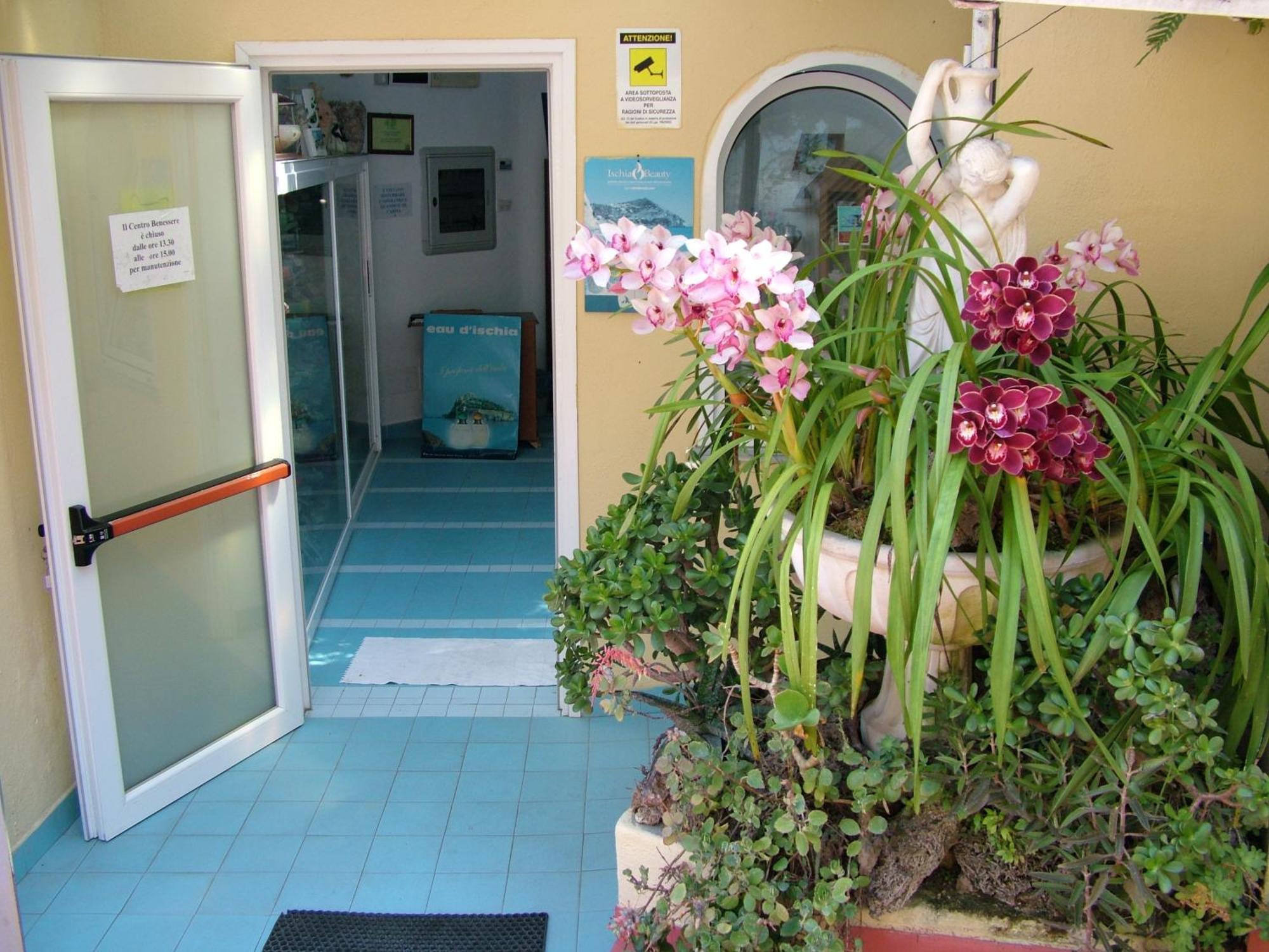 Hotel Giardino Delle Ninfe E La Fenice Ischia Exterior foto