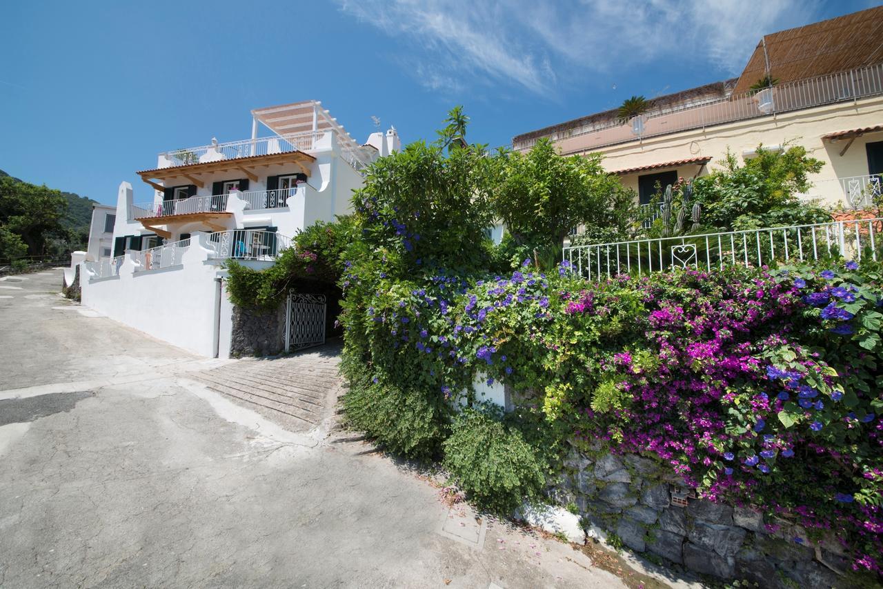 Hotel Giardino Delle Ninfe E La Fenice Ischia Exterior foto